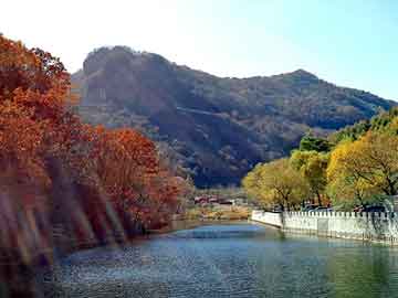 新澳天天开奖资料大全旅游团，嫁衣图片